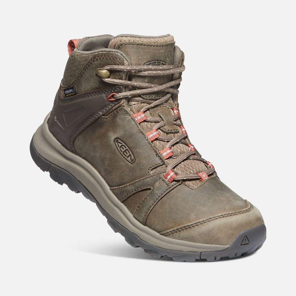 Bottes de Randonnée Keen Femme Marron | Terradora Ii Cuir Waterproof | JBOAE-2807